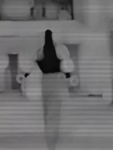 Sidhu Moosewala Capcut Template 2025