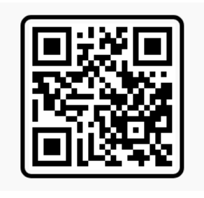 Zaalima Vn Code Template