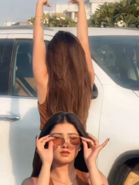 Bombay To Punjab Capcut Template