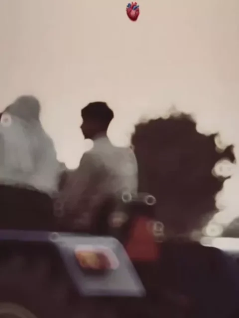 Mere Waka Sardar Capcut Template