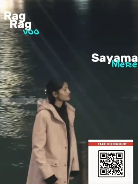 Mann Mera VN Code Template