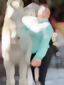 Swag Se Swagat Capcut Template