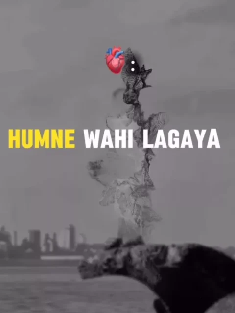 Dil Lagana Mana Tha Capcut Template