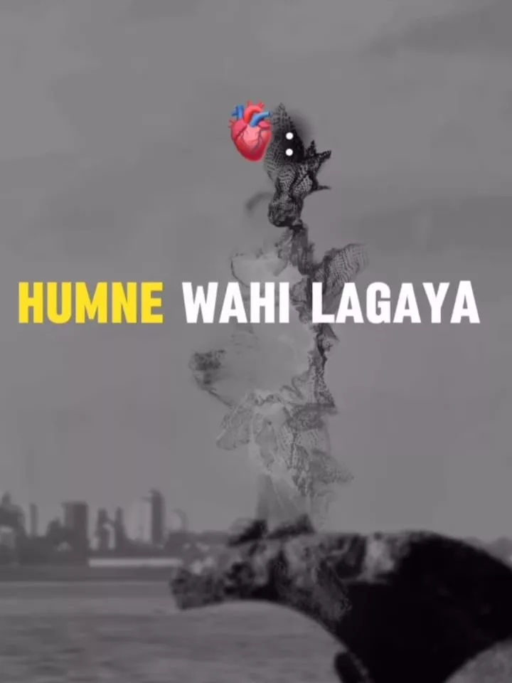 Dil Lagana Mana Tha Capcut Template