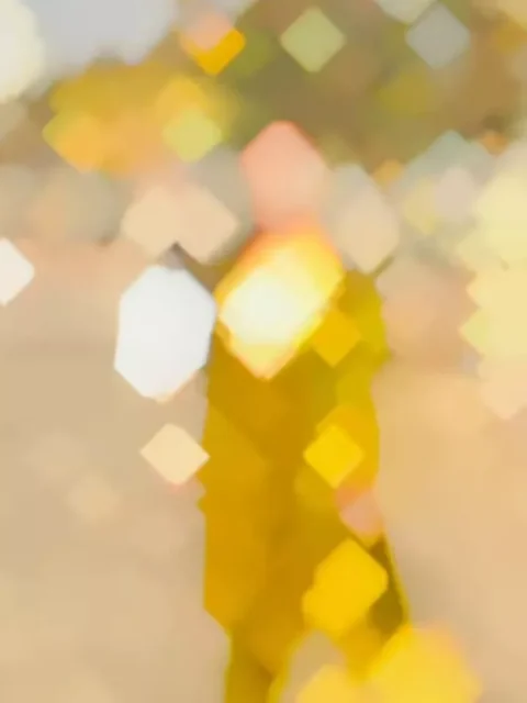 Poster Lagwado Bazaar Capcut Template 2026