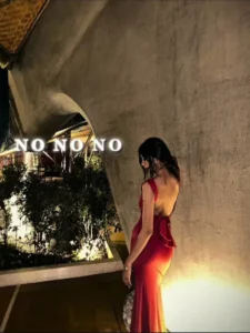 Just Like The Wind Capcut Template