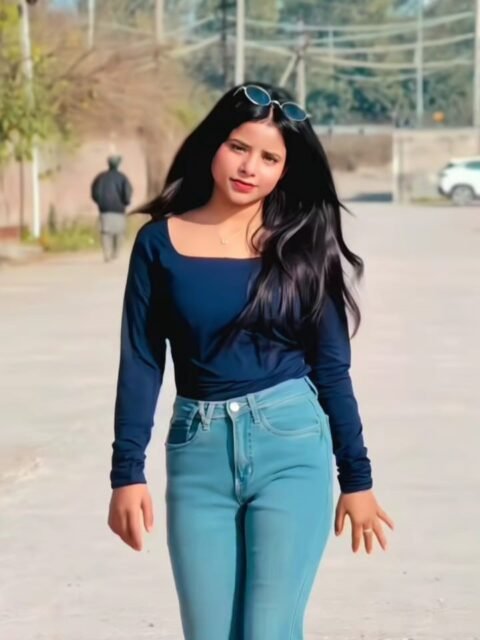 Parda 2026 Capcut Template