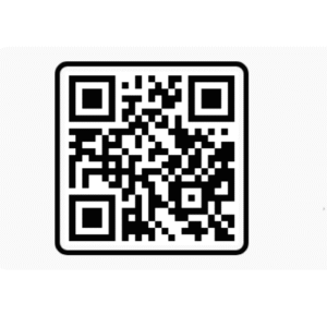 Valentine Day VN Code Free