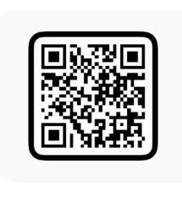 Bairan Vn Code Templates