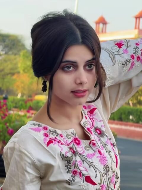 Status Capcut Template