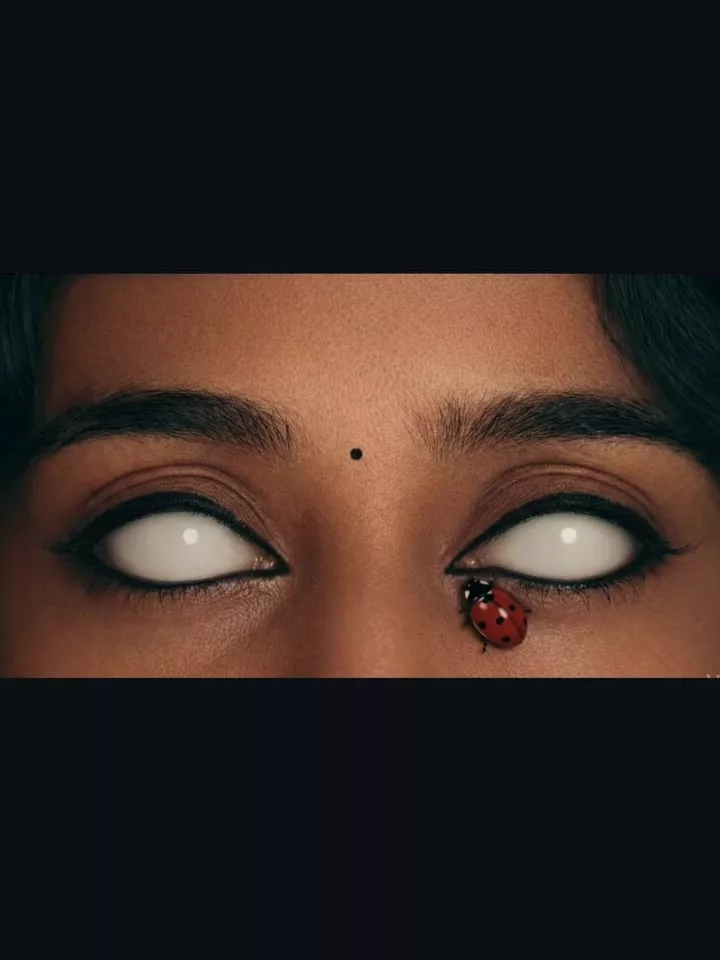 Weird Bug Effect Ai Video Editing