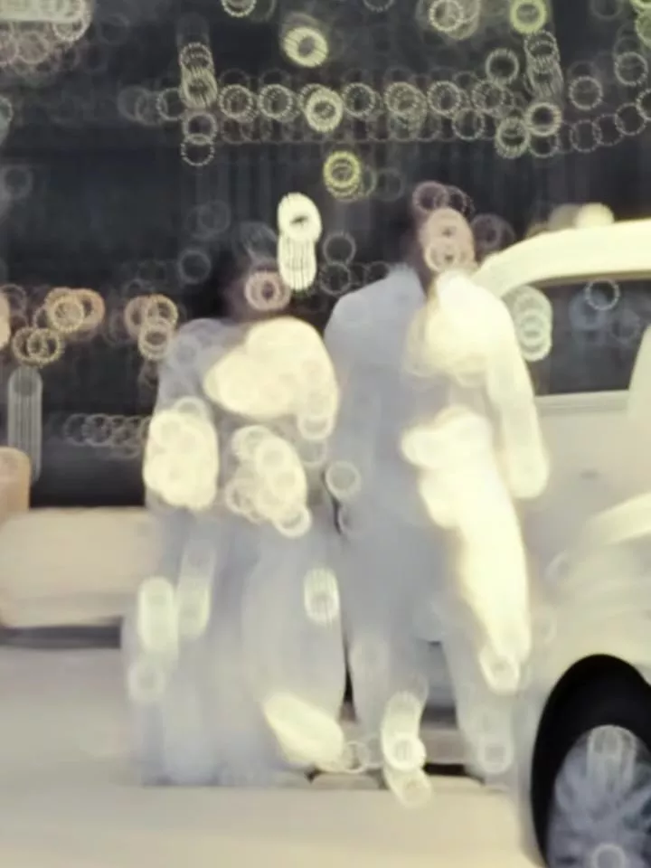 Ishq De Fanniyar capcut Template