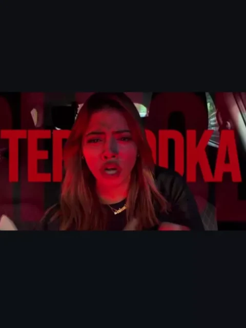 Casa Honeysingh Song Capcut Template