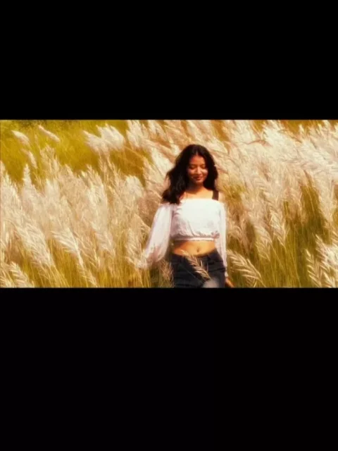 Janam Janam CapCut Template